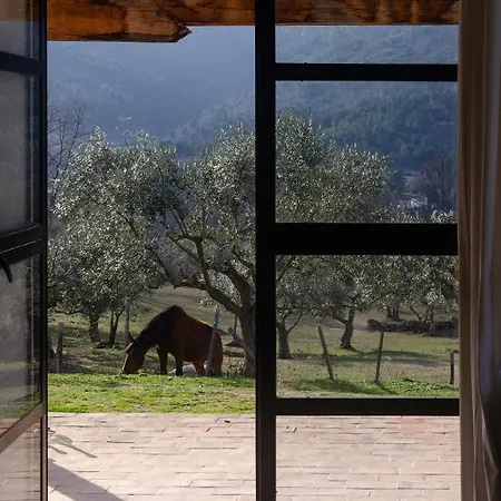 Special Farmstay, Faia-Guarda Exterior photo