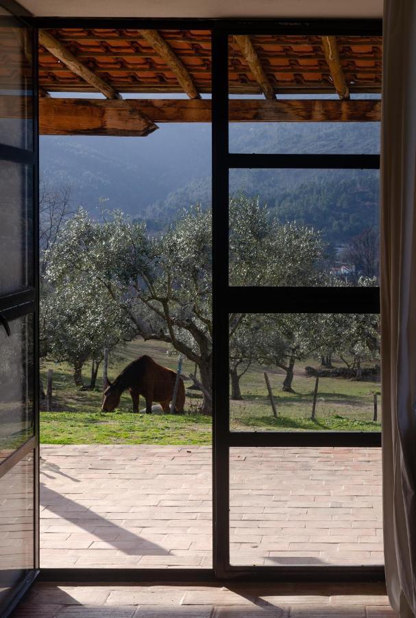 Special Farmstay, Faia-guarda Apartment Faia