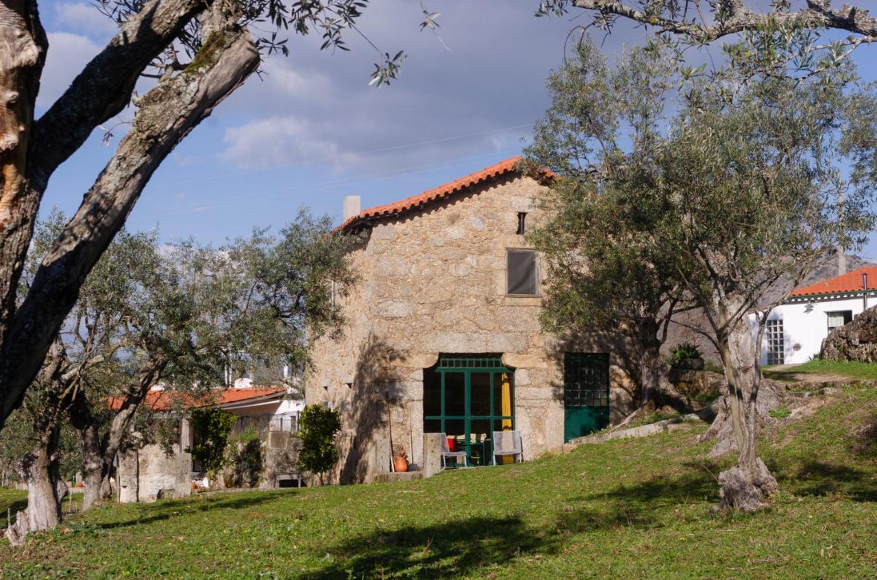 Special Farmstay, Faia-guarda * Faia