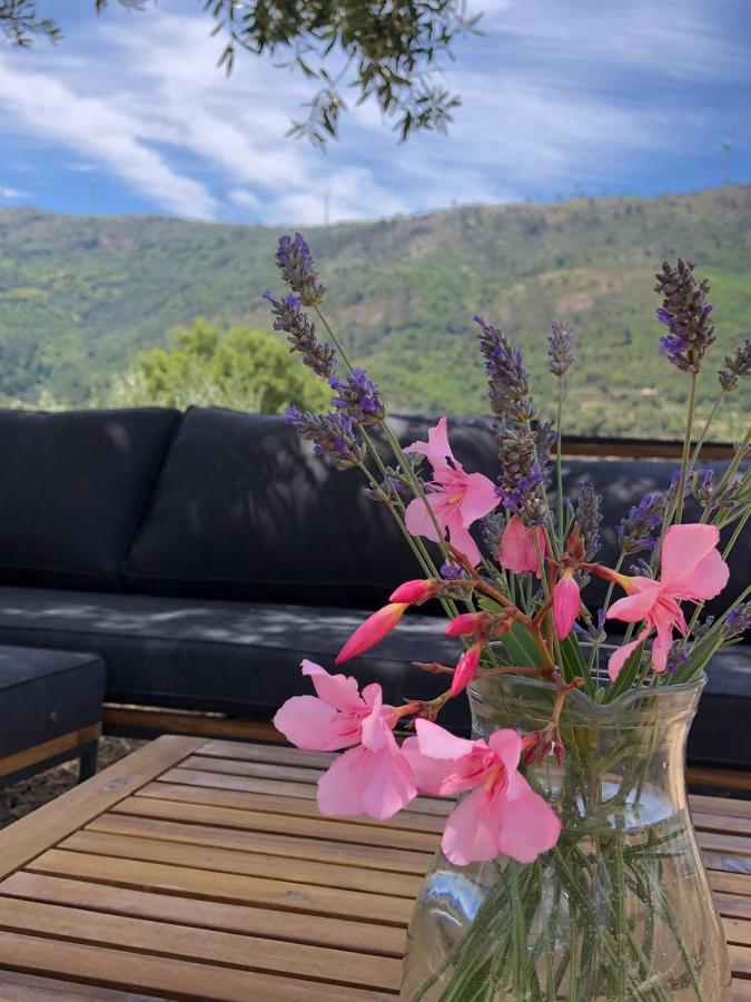 Special Farmstay, Faia-guarda * Faia