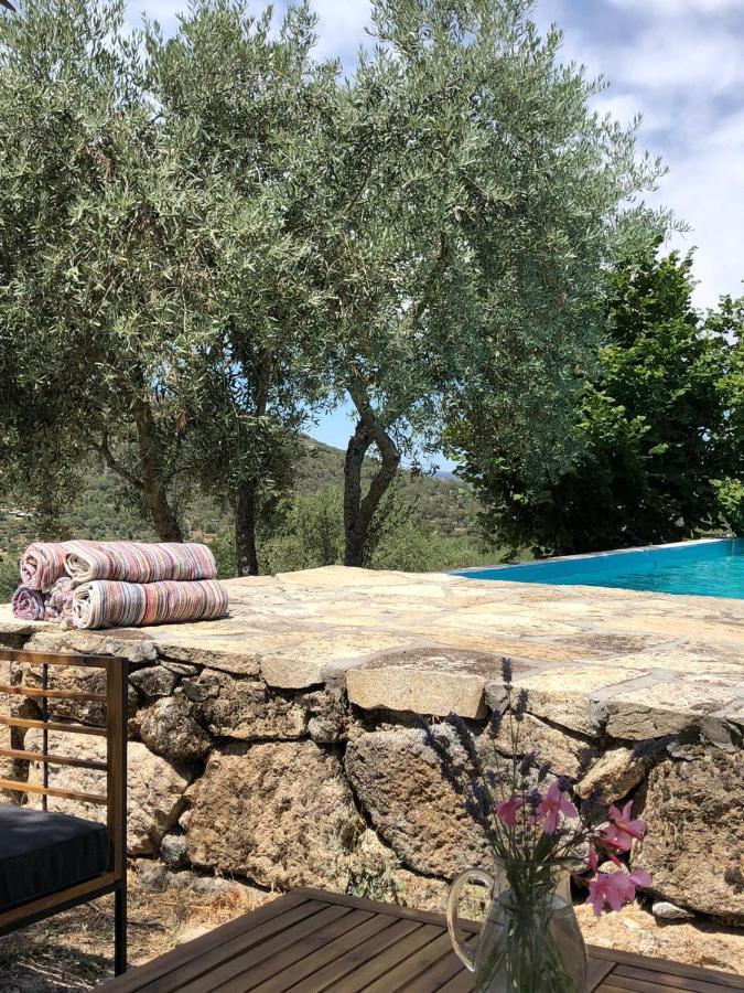 Special Farmstay, Faia-guarda Apartment Faia