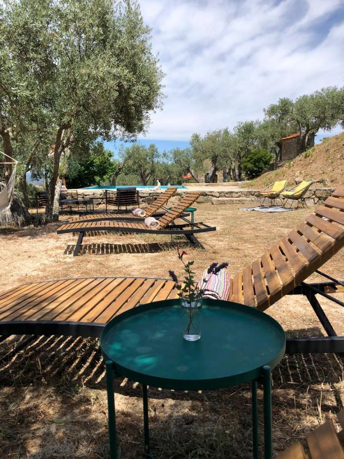 Apartment Special Farmstay, Faia-guarda