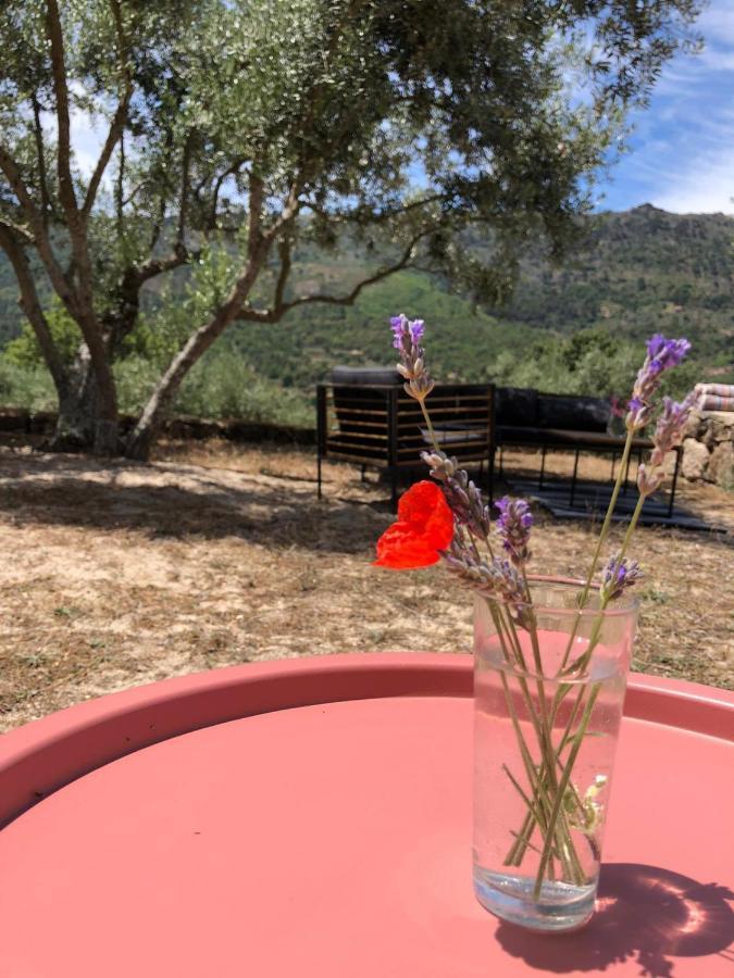 Special Farmstay, Faia-guarda Faia