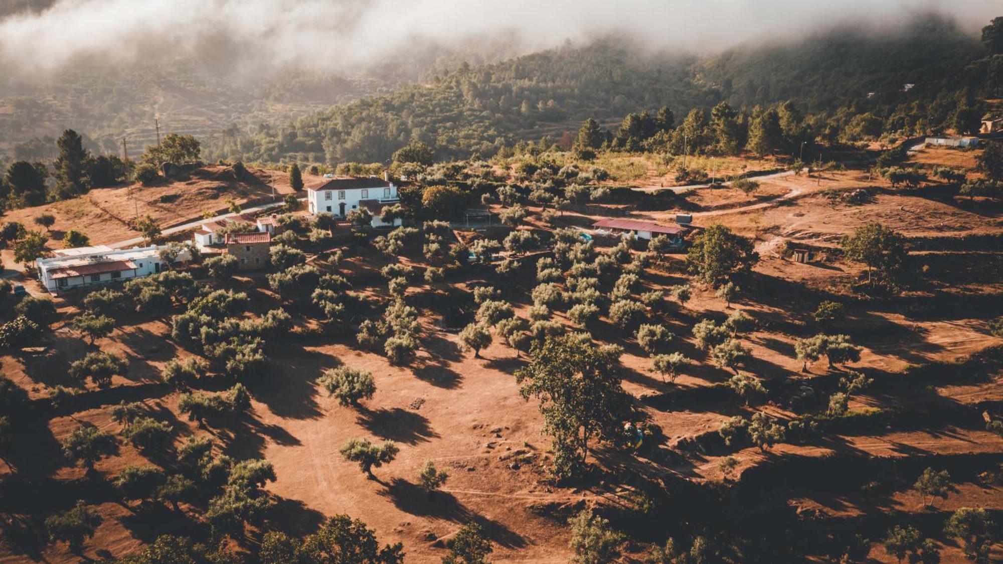 Special Farmstay, Faia-guarda Faia