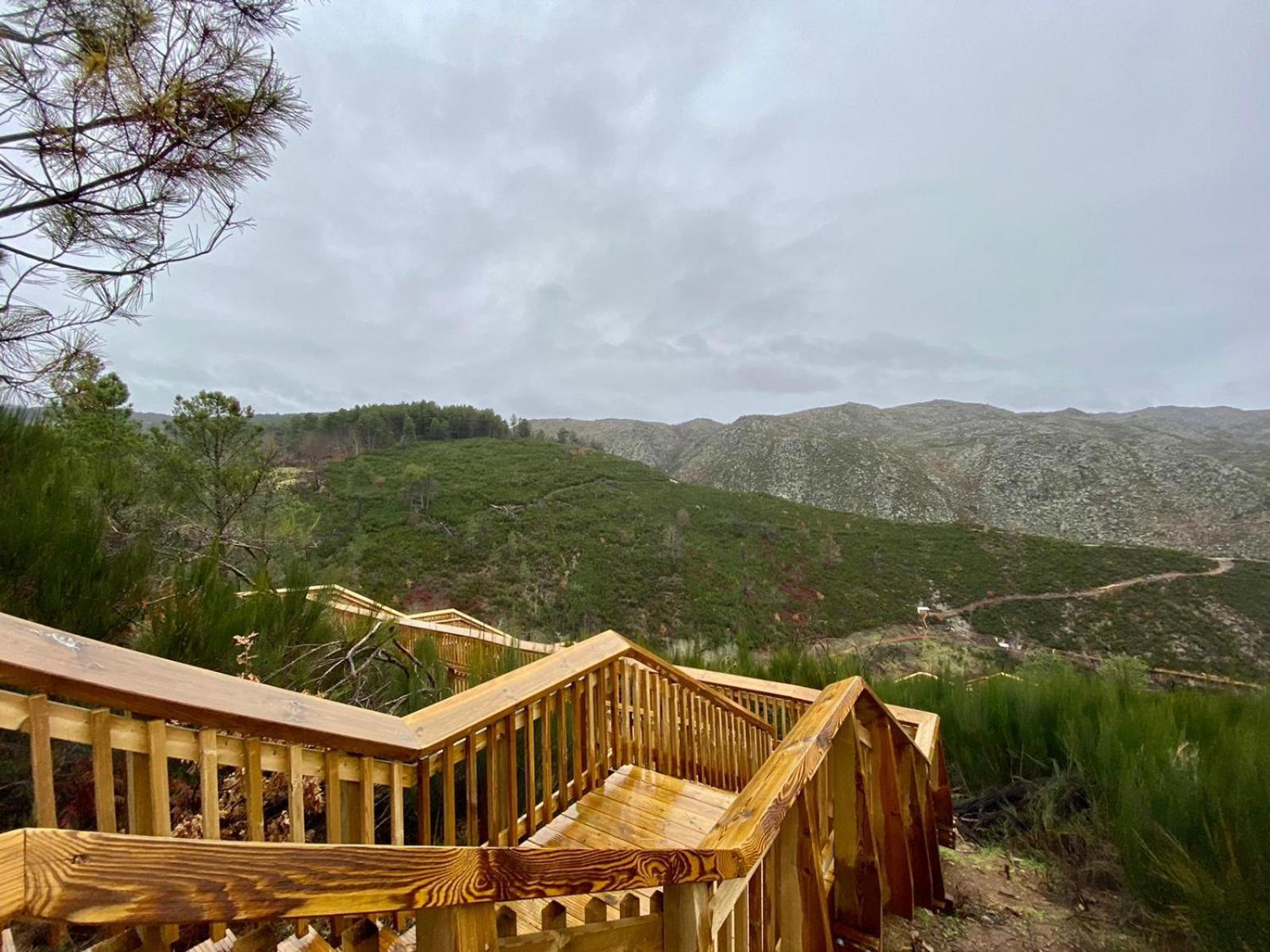 Special Farmstay, Faia-guarda Apartment