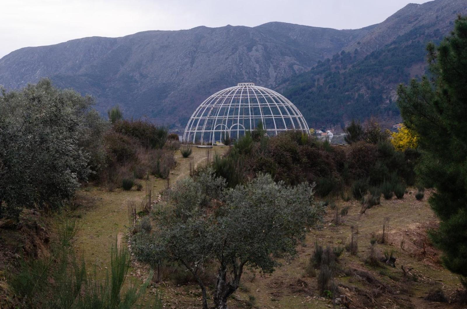 Special Farmstay, Faia-guarda *